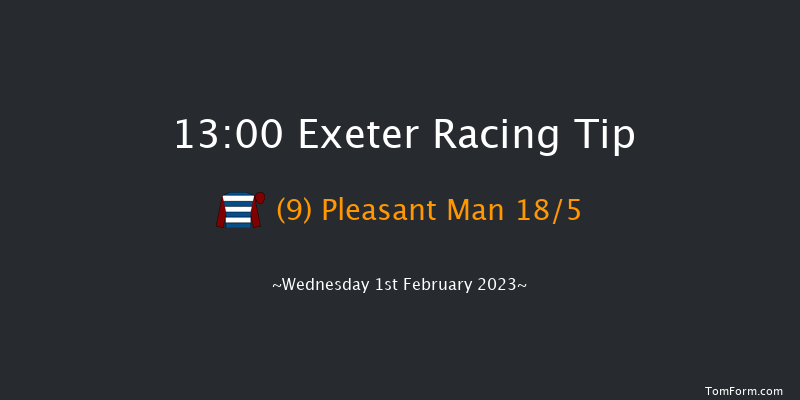 Exeter 13:00 Handicap Hurdle (Class 4) 18f Tue 10th Jan 2023