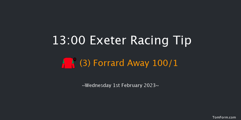 Exeter 13:00 Handicap Hurdle (Class 4) 18f Tue 10th Jan 2023