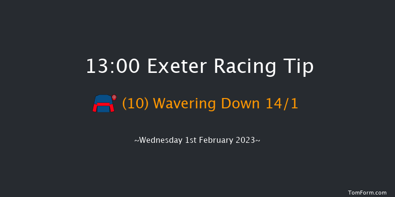Exeter 13:00 Handicap Hurdle (Class 4) 18f Tue 10th Jan 2023