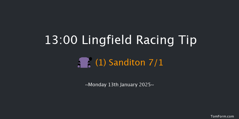 Lingfield  13:00 Stakes (Class 5) 7f Sun 12th Jan 2025
