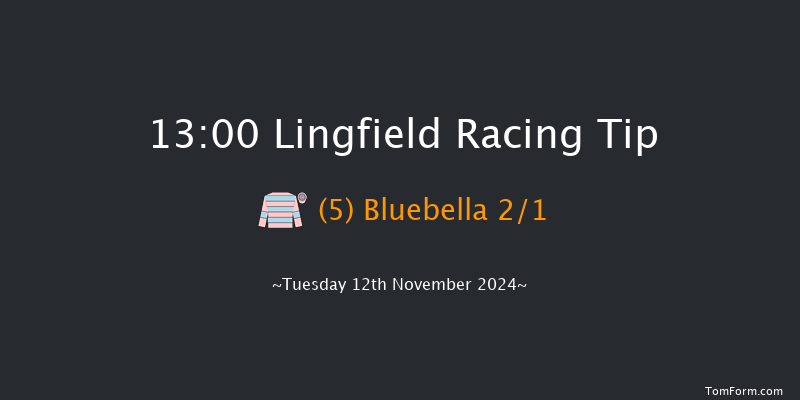 Lingfield  13:00 Handicap Hurdle (Class 5) 16f Sat 14th Sep 2024