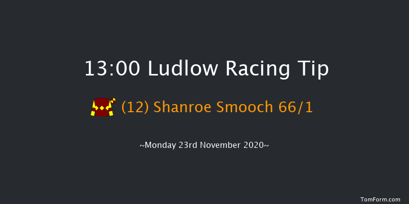 Perrott Properties Novices' Handicap Chase Ludlow 13:00 Handicap Chase (Class 5) 24f Thu 12th Nov 2020