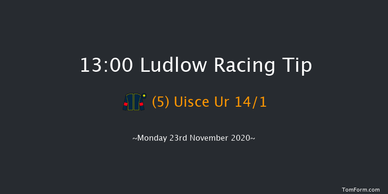 Perrott Properties Novices' Handicap Chase Ludlow 13:00 Handicap Chase (Class 5) 24f Thu 12th Nov 2020