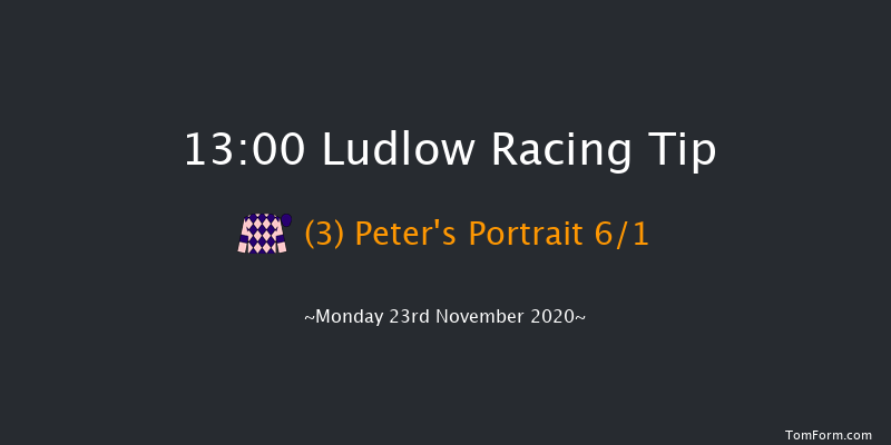 Perrott Properties Novices' Handicap Chase Ludlow 13:00 Handicap Chase (Class 5) 24f Thu 12th Nov 2020