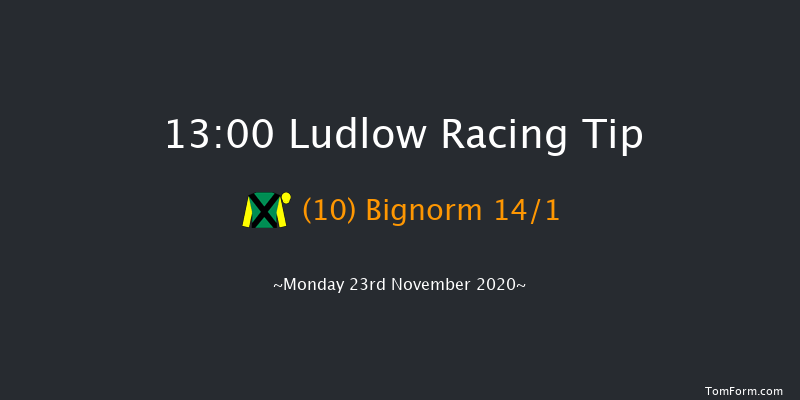 Perrott Properties Novices' Handicap Chase Ludlow 13:00 Handicap Chase (Class 5) 24f Thu 12th Nov 2020