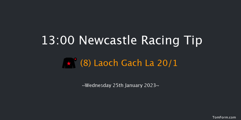 Newcastle 13:00 Handicap (Class 6) 10f Sun 22nd Jan 2023