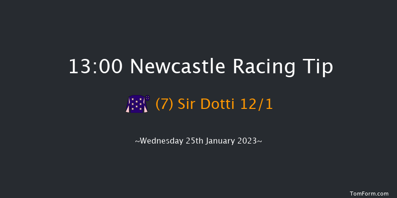 Newcastle 13:00 Handicap (Class 6) 10f Sun 22nd Jan 2023