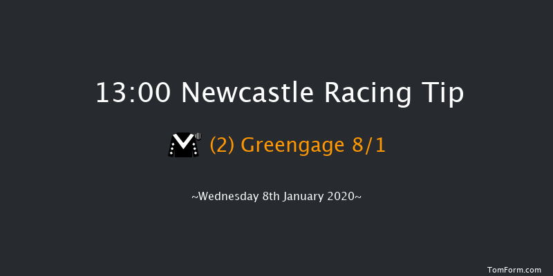 Newcastle 13:00 Handicap (Class 6) 12f Sat 4th Jan 2020
