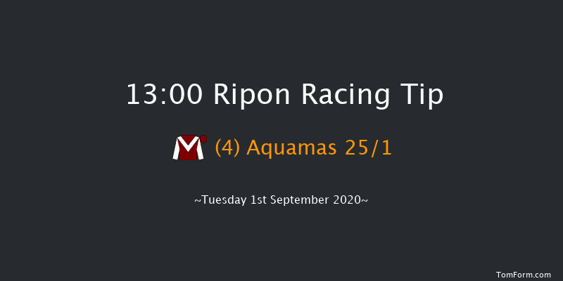 Download The Free At The Races App EBF Fillies' Novice Stakes (Plus 10/GBB Race) Ripon 13:00 Stakes (Class 5) 5f Mon 31st Aug 2020