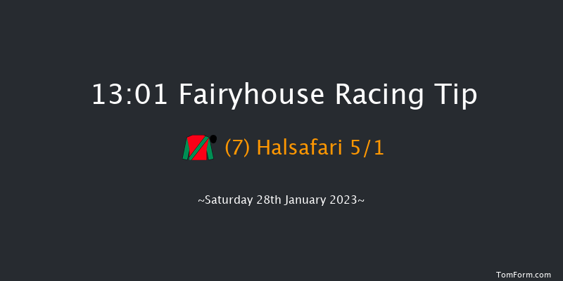 Fairyhouse 13:01 Handicap Chase 17f Wed 25th Jan 2023