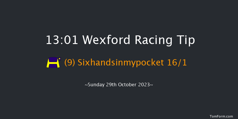 Wexford 13:01 Beginners Chase 20f Fri 1st Sep 2023