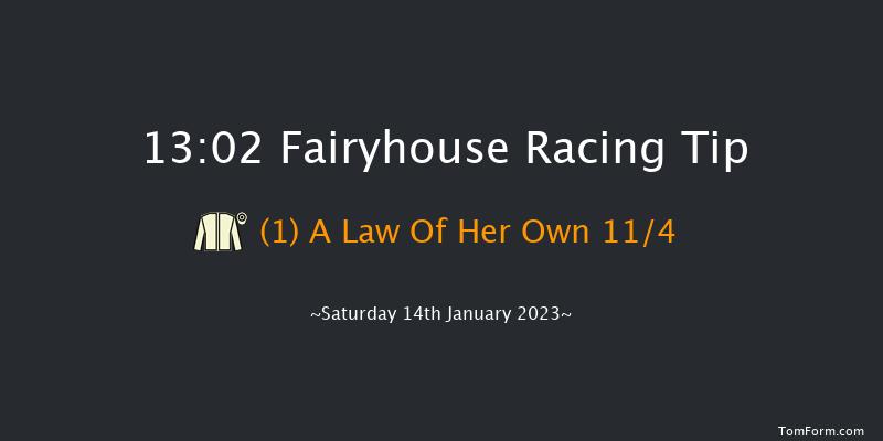 Fairyhouse 13:02 Maiden Hurdle 18f Sun 1st Jan 2023