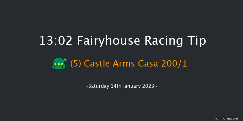 Fairyhouse 13:02 Maiden Hurdle 18f Sun 1st Jan 2023