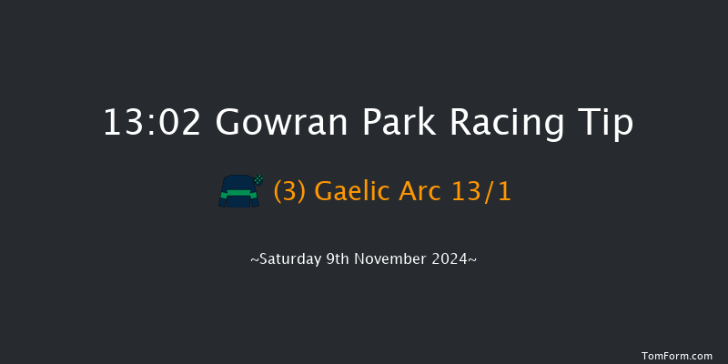 Gowran Park  13:02 Handicap Chase 16f Mon 21st Oct 2024