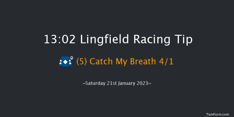 Lingfield 13:02 Stakes (Class 6) 8f Sat 14th Jan 2023