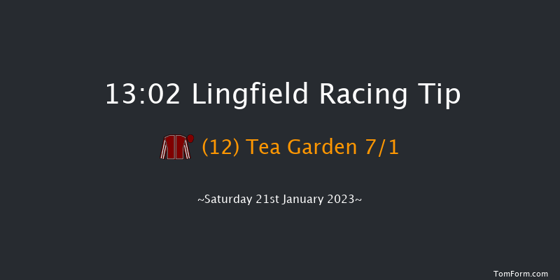 Lingfield 13:02 Stakes (Class 6) 8f Sat 14th Jan 2023