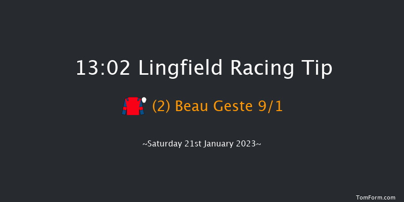 Lingfield 13:02 Stakes (Class 6) 8f Sat 14th Jan 2023