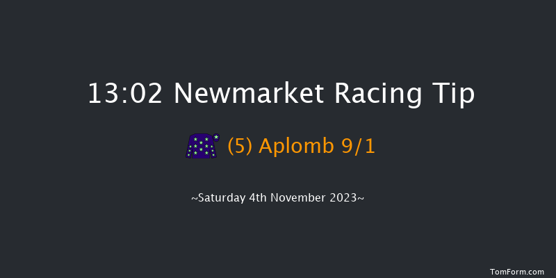 Newmarket 13:02 Handicap (Class 4) 6f Fri 3rd Nov 2023