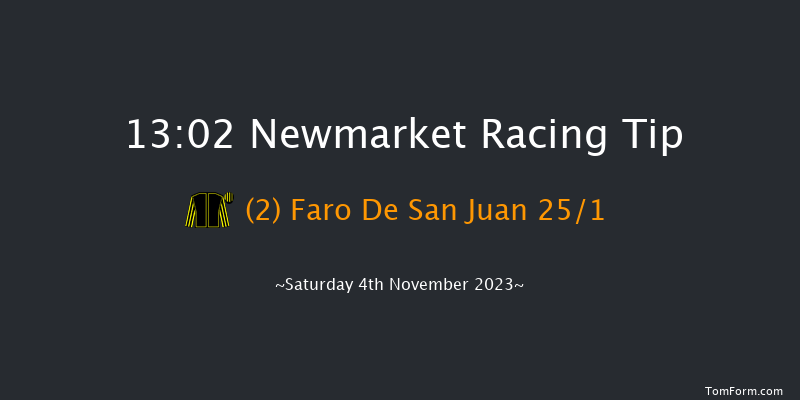 Newmarket 13:02 Handicap (Class 4) 6f Fri 3rd Nov 2023