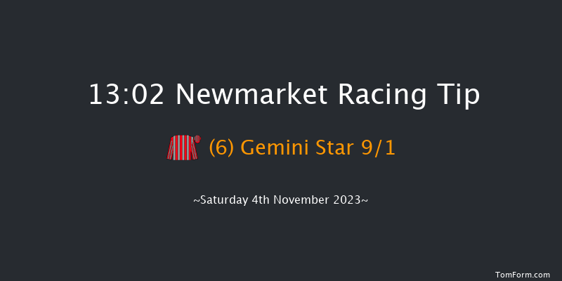 Newmarket 13:02 Handicap (Class 4) 6f Fri 3rd Nov 2023