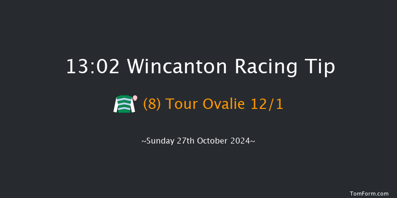 Wincanton  13:02 Handicap Hurdle (Class 4) 15f  Thu 17th Oct 2024