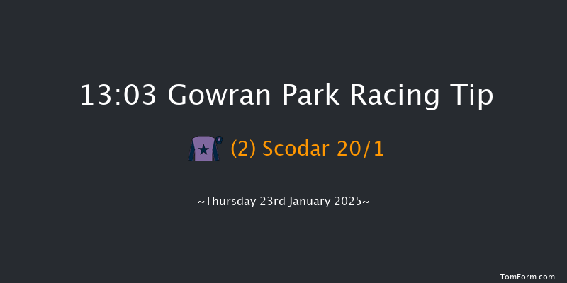 Gowran Park  13:03 Maiden Hurdle 16f Sat 9th Nov 2024