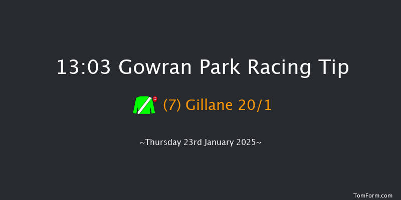 Gowran Park  13:03 Maiden Hurdle 16f Sat 9th Nov 2024
