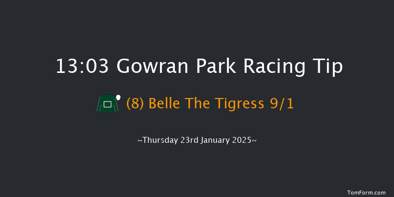 Gowran Park  13:03 Maiden Hurdle 16f Sat 9th Nov 2024