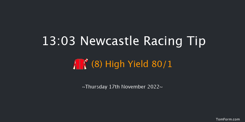 Newcastle 13:03 Handicap Hurdle (Class 5) 24f Tue 15th Nov 2022
