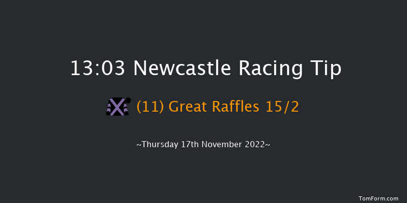 Newcastle 13:03 Handicap Hurdle (Class 5) 24f Tue 15th Nov 2022