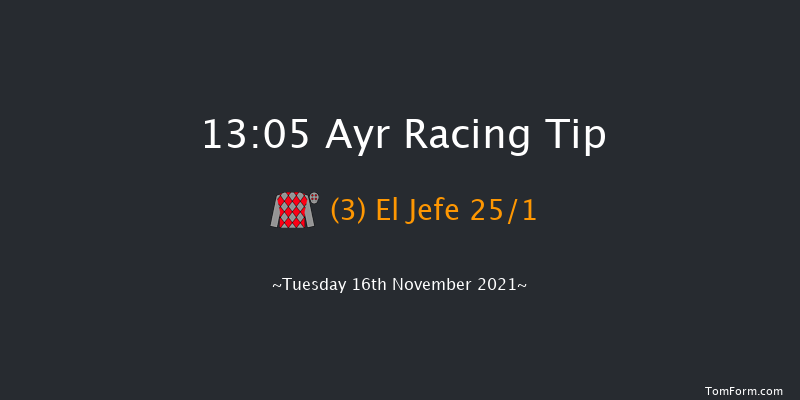 Ayr 13:05 Handicap Hurdle (Class 5) 20f Tue 11th May 2021