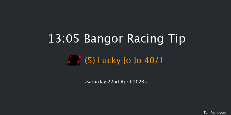 Bangor 13:05 Novices Hurdle (Class 4) 23f Sat 25th Mar 2023