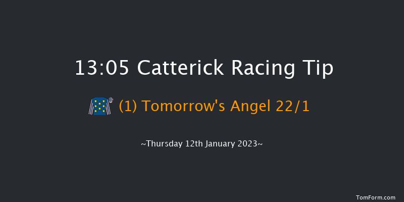 Catterick 13:05 Handicap Hurdle (Class 5) 25f Sun 1st Jan 2023