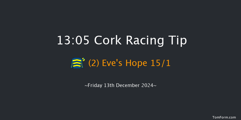 Cork  13:05 Handicap Hurdle 16f Sun 8th Dec 2024