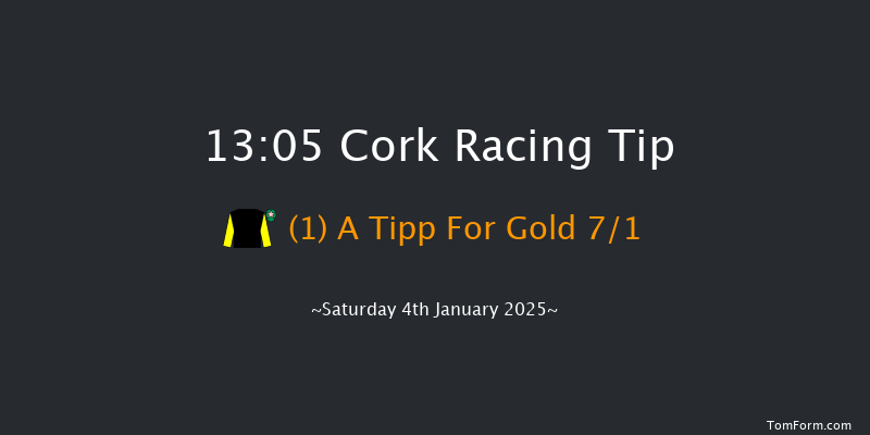 Cork  13:05 Maiden Hurdle 17f Fri 13th Dec 2024