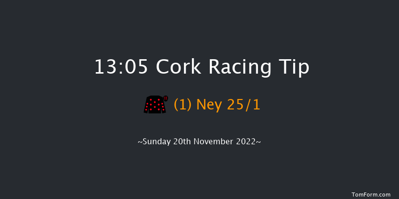Cork 13:05 Handicap Hurdle 16f Sun 6th Nov 2022