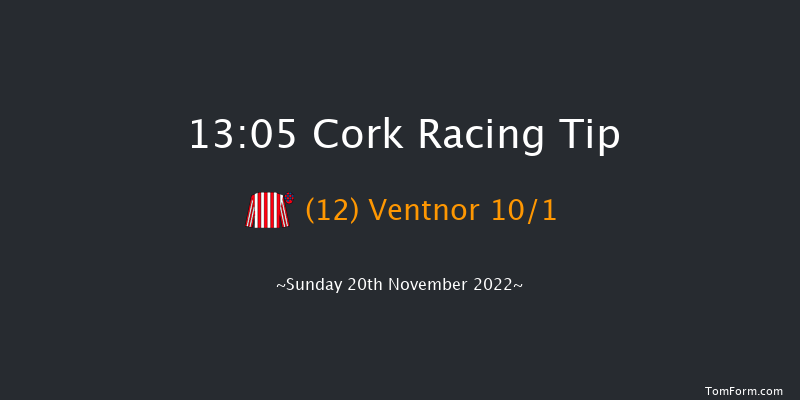Cork 13:05 Handicap Hurdle 16f Sun 6th Nov 2022