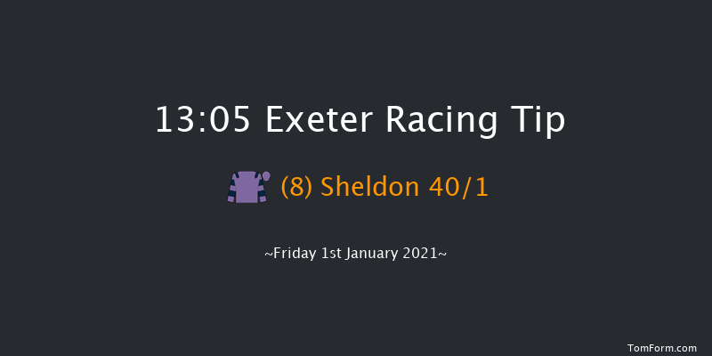 Paddy Power 'National Hunt' Maiden Hurdle (GBB Race) Exeter 13:05 Maiden Hurdle (Class 4) 18f Thu 17th Dec 2020