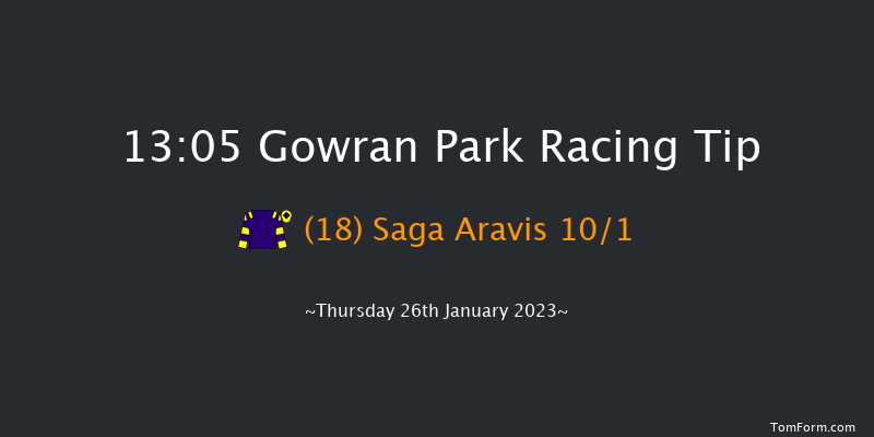 Gowran Park 13:05 Handicap Hurdle 16f Sat 26th Nov 2022