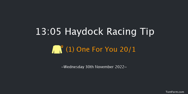 Haydock 13:05 Handicap Hurdle (Class 4) 24f Sat 19th Nov 2022