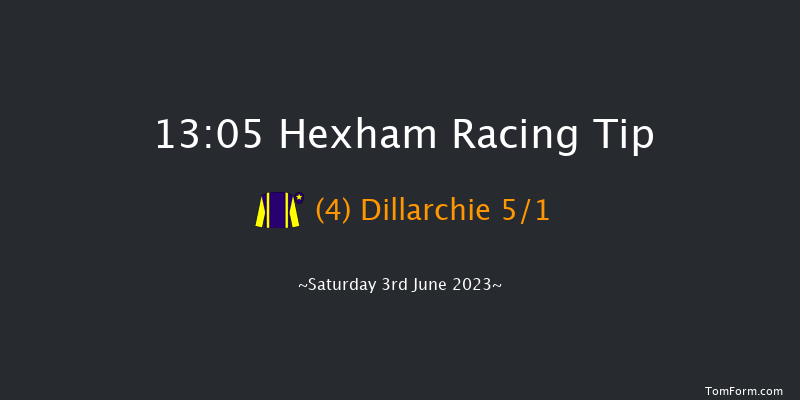Hexham 13:05 Handicap Hurdle (Class 5) 23f Tue 23rd May 2023