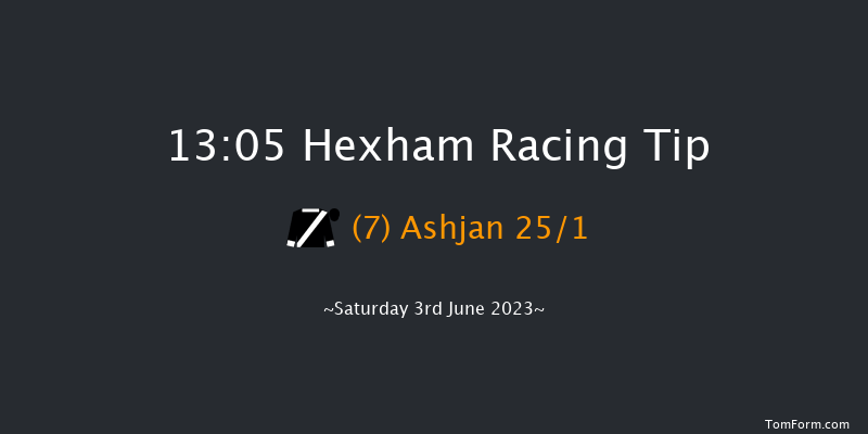 Hexham 13:05 Handicap Hurdle (Class 5) 23f Tue 23rd May 2023