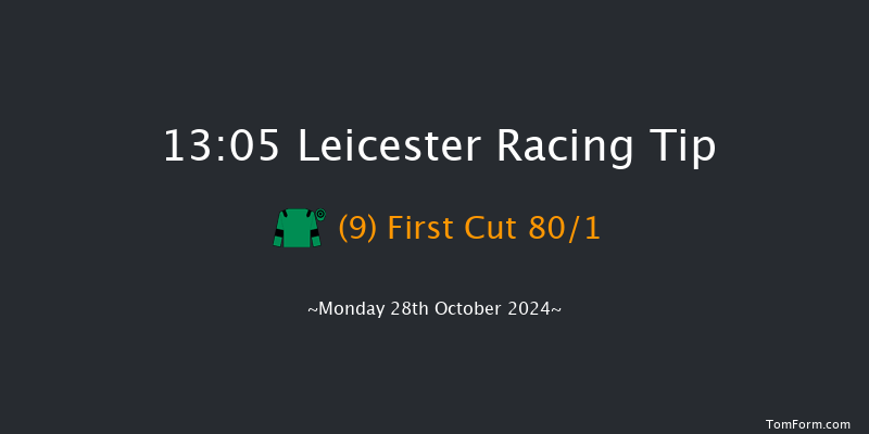 Leicester  13:05 Handicap (Class 6) 12f Tue 15th Oct 2024