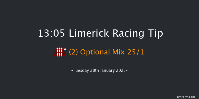 Limerick  13:05 Claiming Hurdle 21f Sun 29th Dec 2024