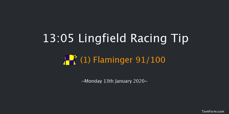 Lingfield 13:05 Handicap Chase (Class 4) 16f Sat 11th Jan 2020