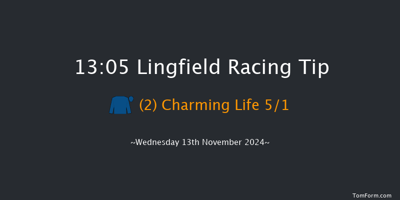 Lingfield  13:05 Stakes (Class 5) 8f Tue 12th Nov 2024