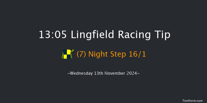 Lingfield  13:05 Stakes (Class 5) 8f Tue 12th Nov 2024