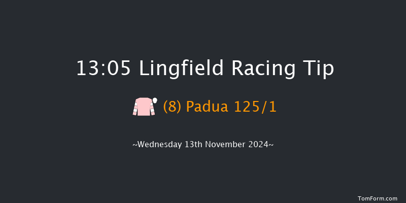 Lingfield  13:05 Stakes (Class 5) 8f Tue 12th Nov 2024