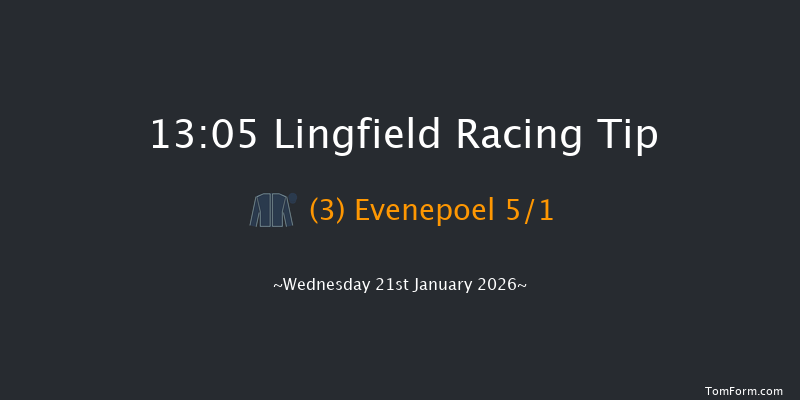 Lingfield 13-05 (Class 5) 7f Mon 19th Jan 2026