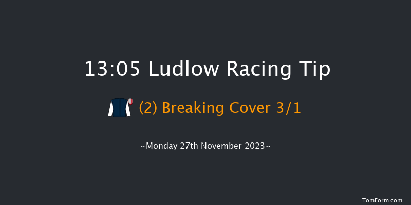 Ludlow 13:05 Handicap Hurdle (Class 5) 16f Thu 9th Nov 2023